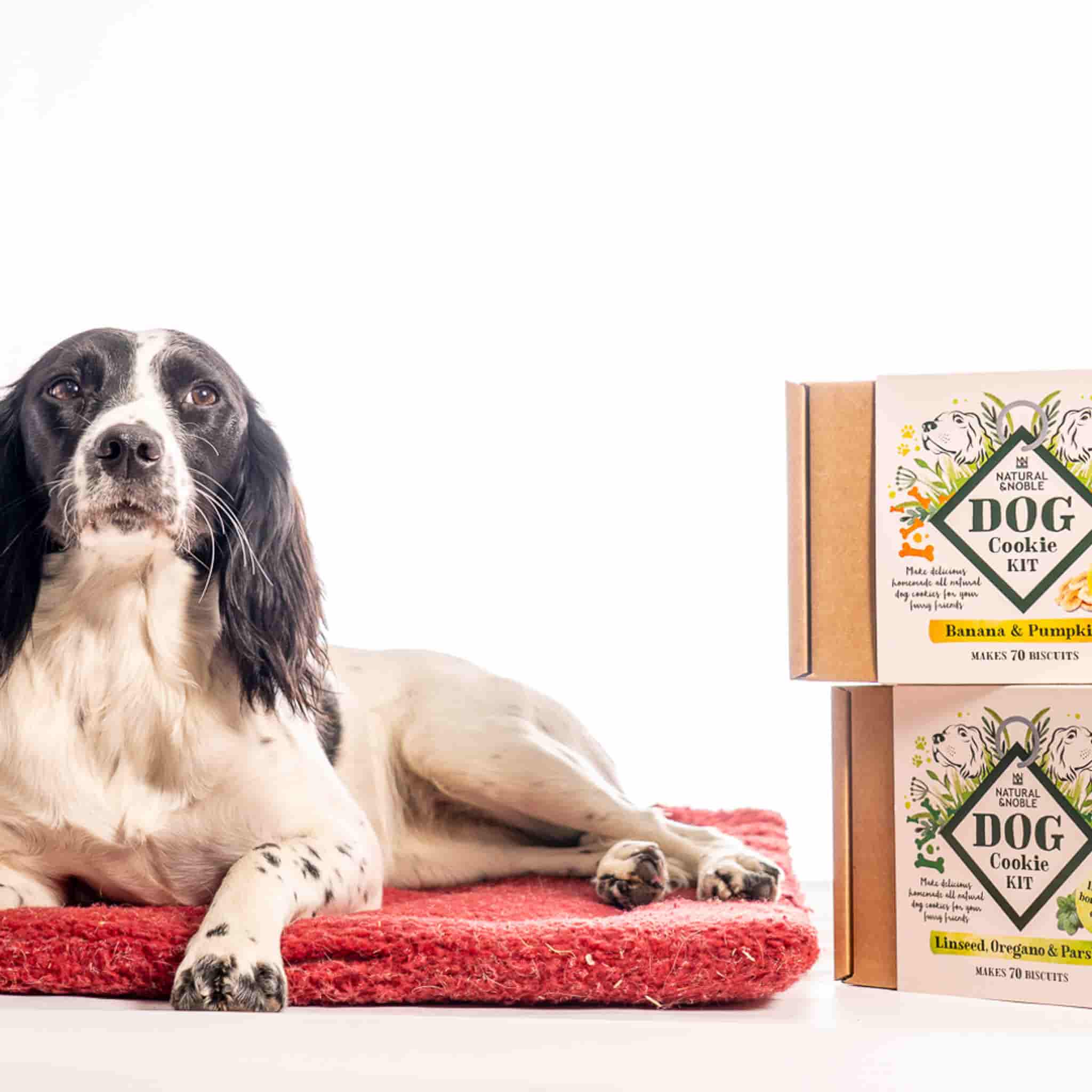 Banana & Pumpkin Dog Biscuit Kit, 500g - Image 3