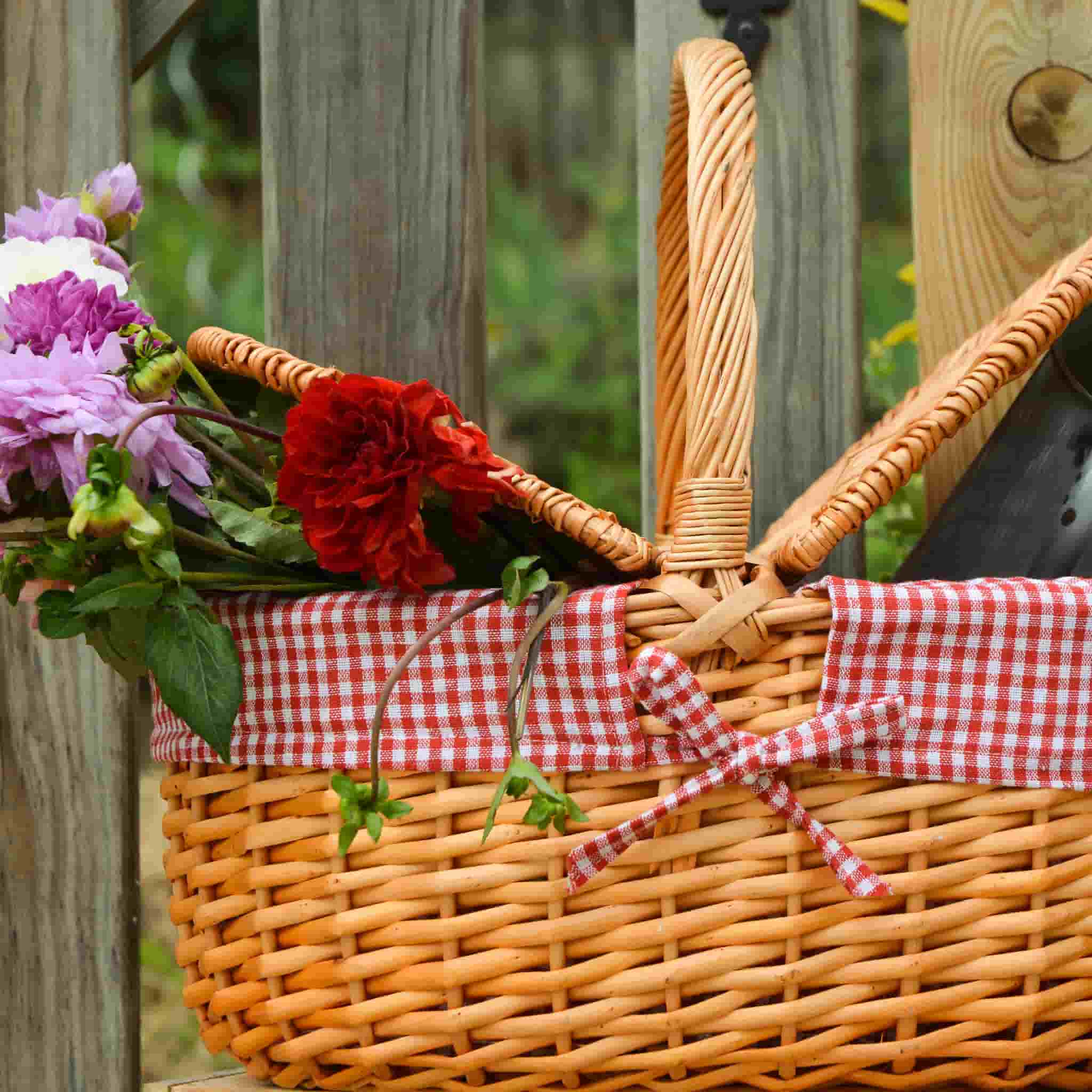 Campagne Red Gingham Empty Picnic Basket - Image 2