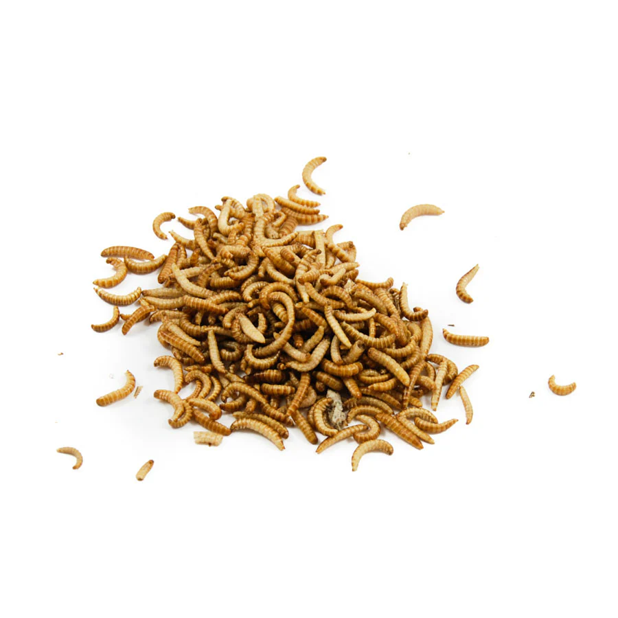 Edible Buffalo Worms, 20g - Image 2