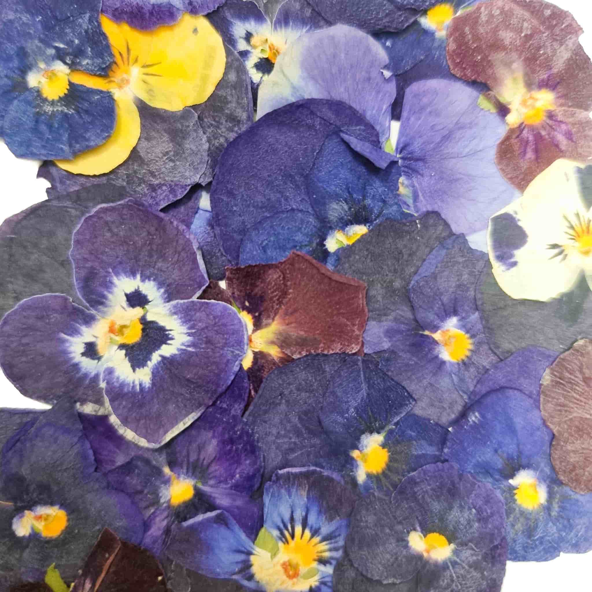 Edible Dried & Pressed Violas, 25 pieces - Image 3