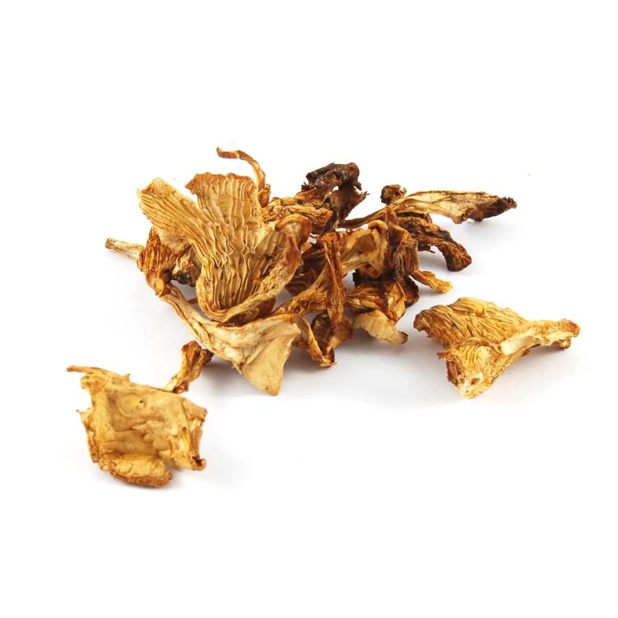 Girolle Mushrooms, 500g - Image 2