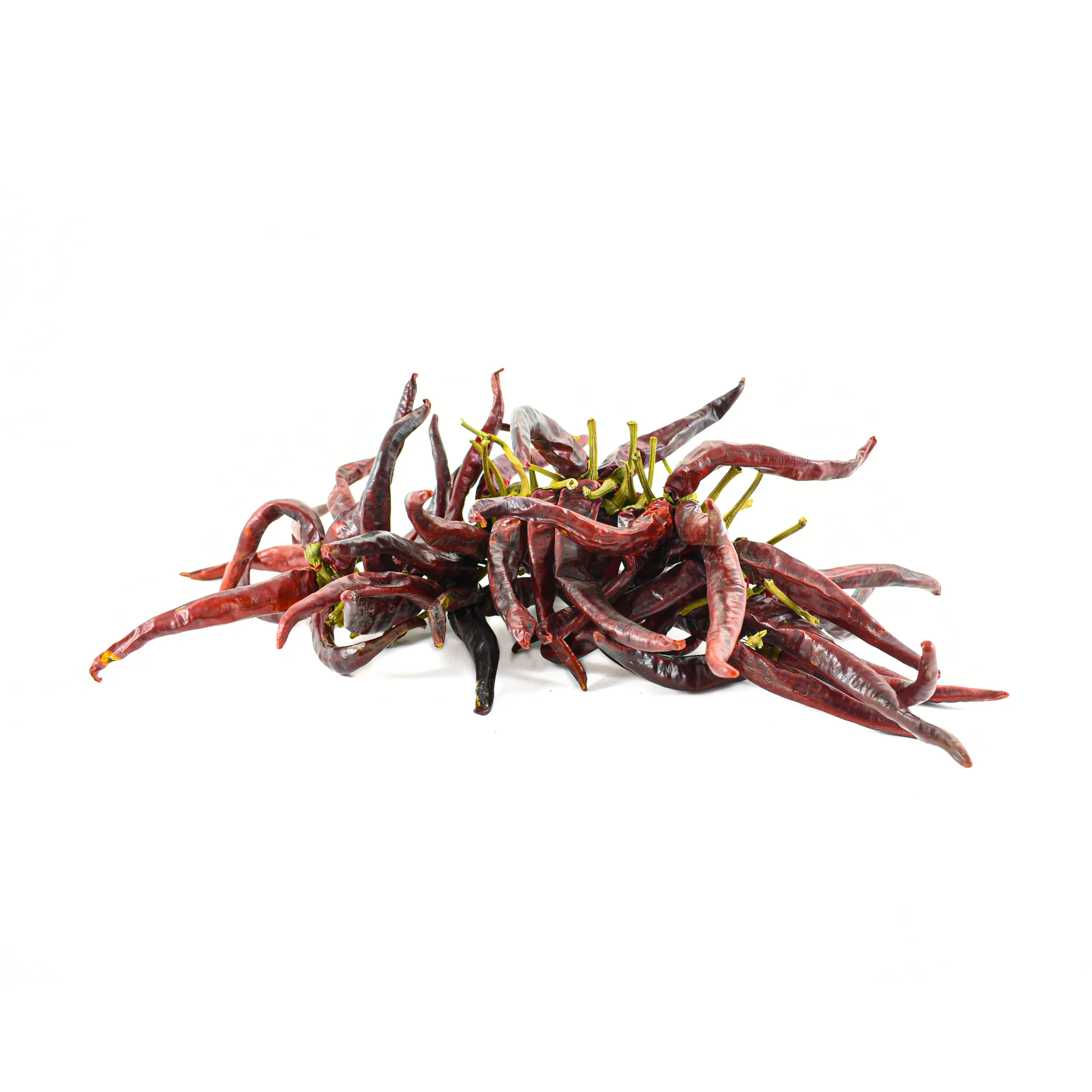 Guindilla Pepper Ristra - String of 50 - Image 3