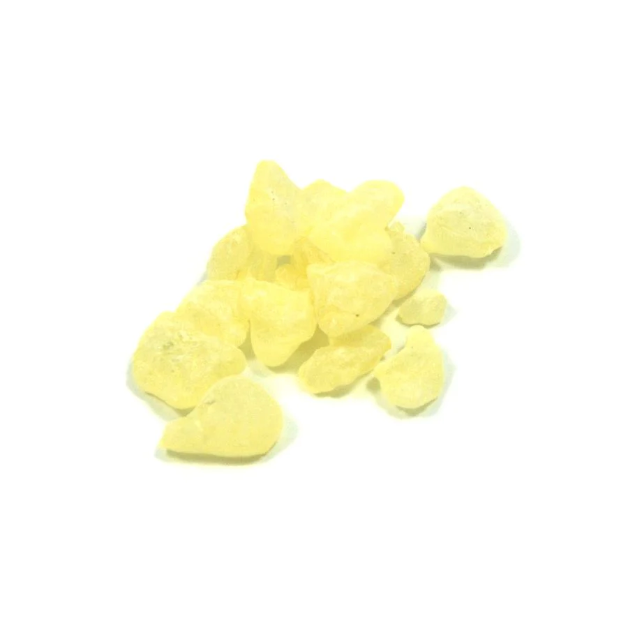 Gum Mastic, 10g - Image 2