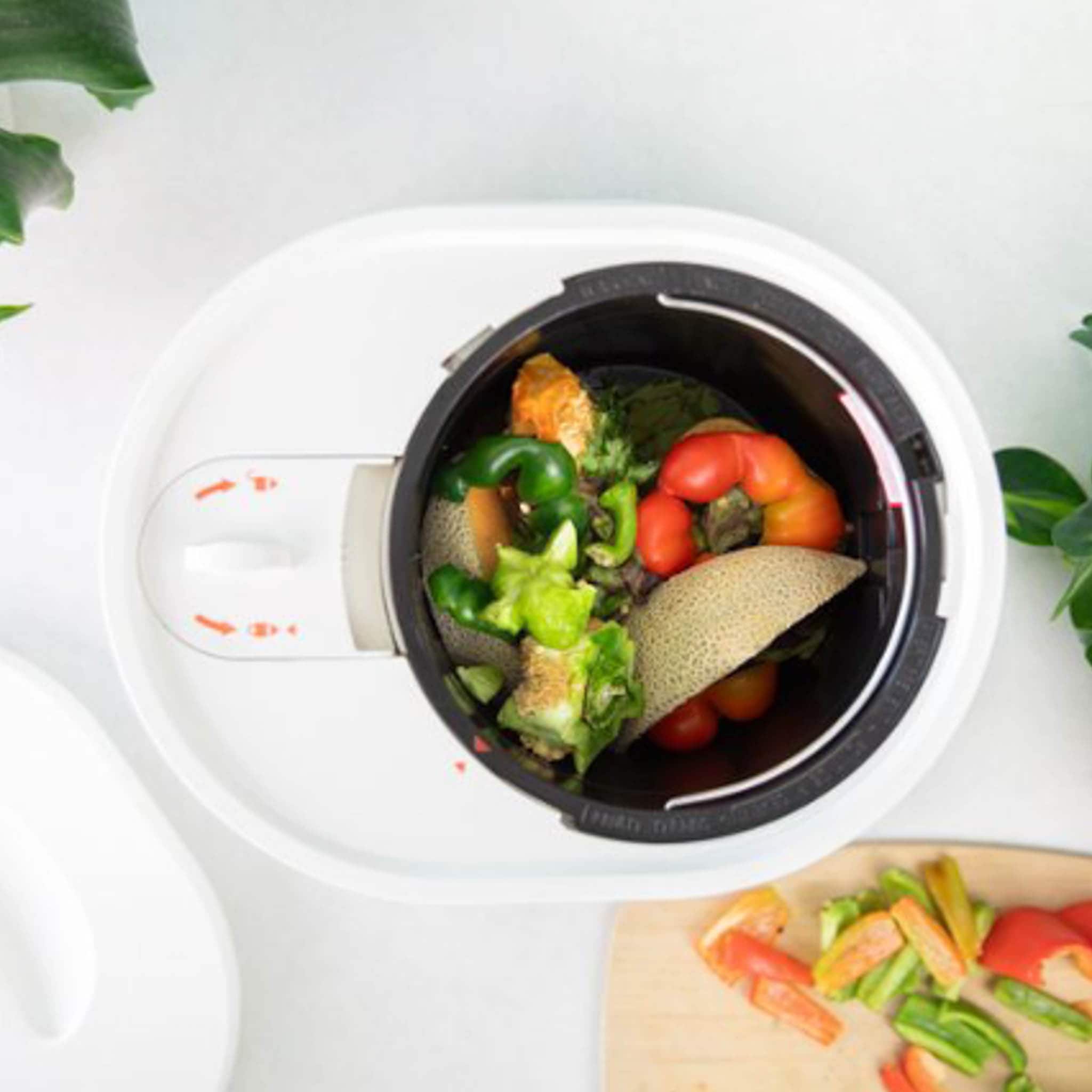 Lomi Food Waste Composter - Image 4