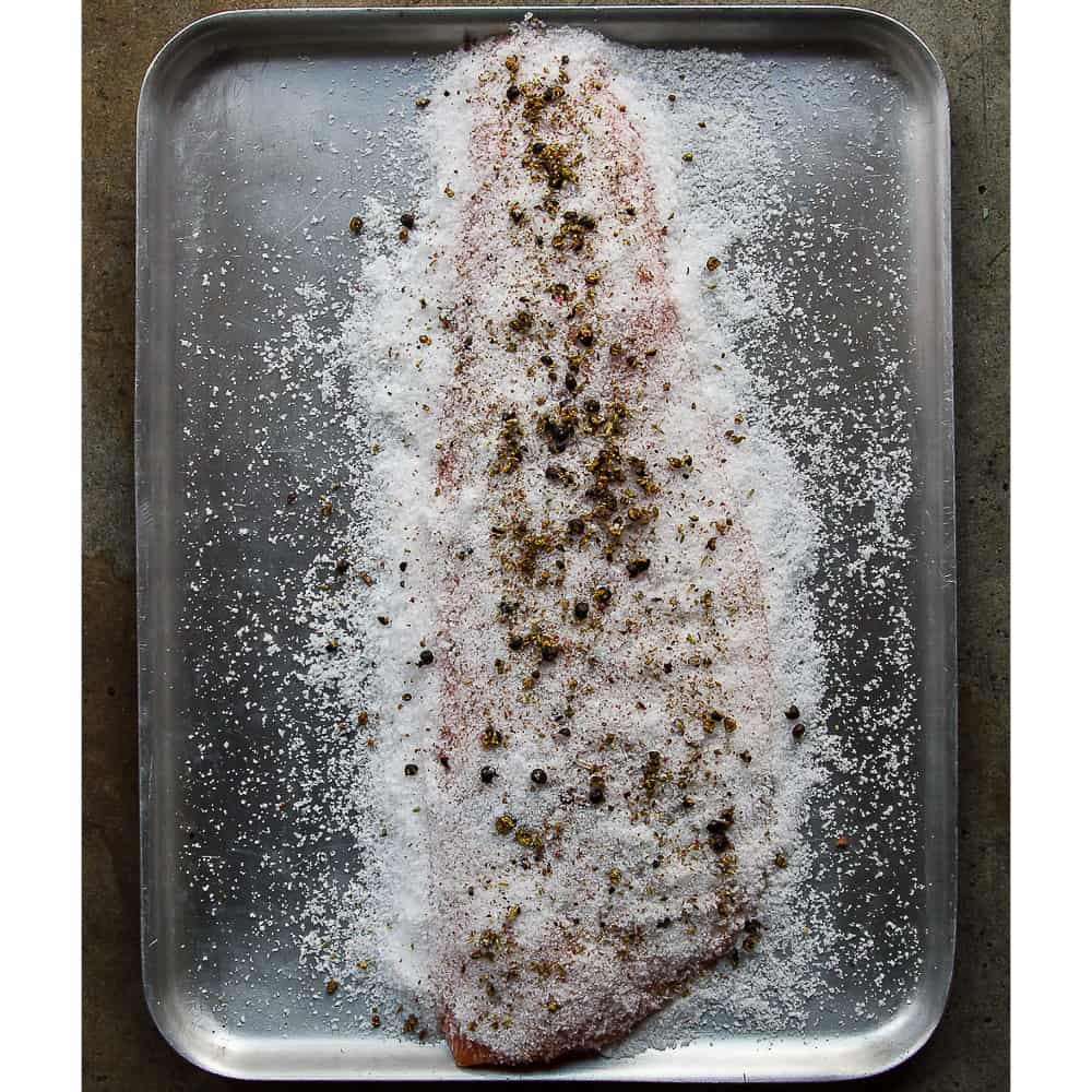 ProQ Cold Smoking & Curing Kit - Salmon - Image 4