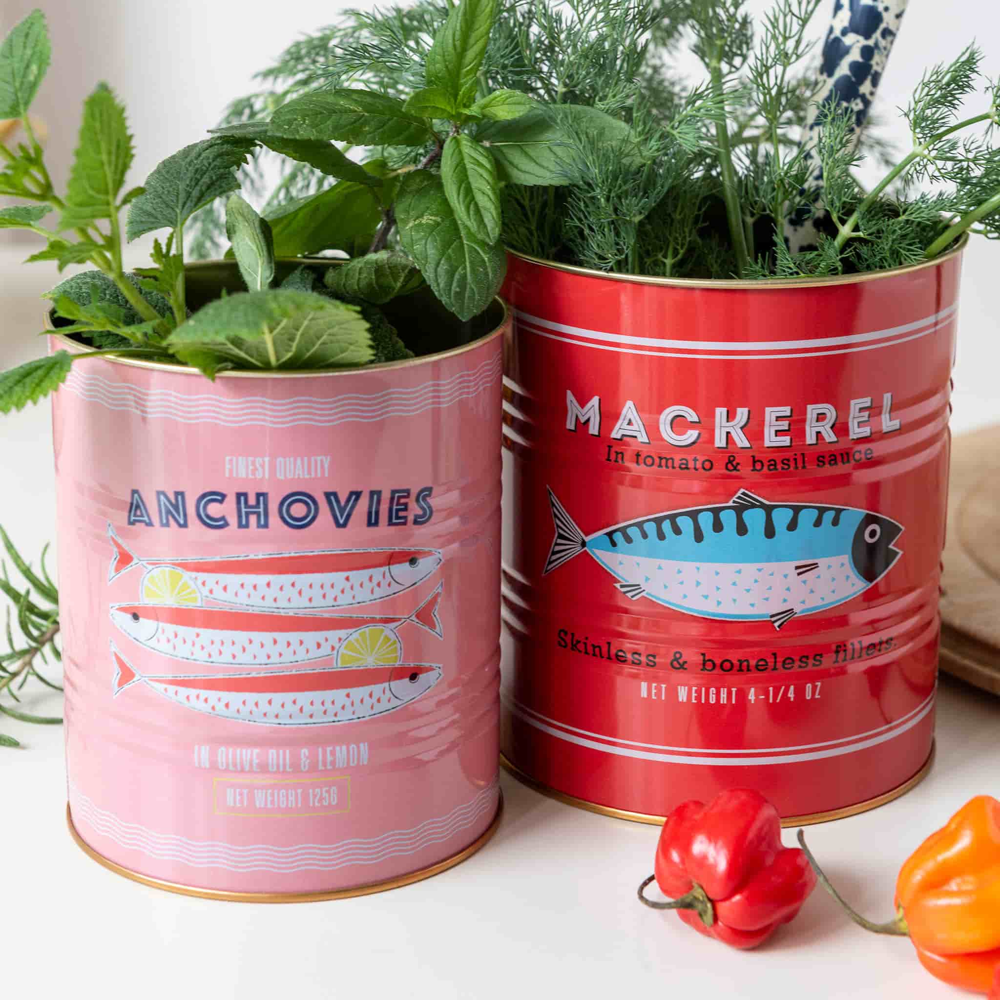 Set of 2 Mackerel & Anchovies Utensil Jars - Image 4