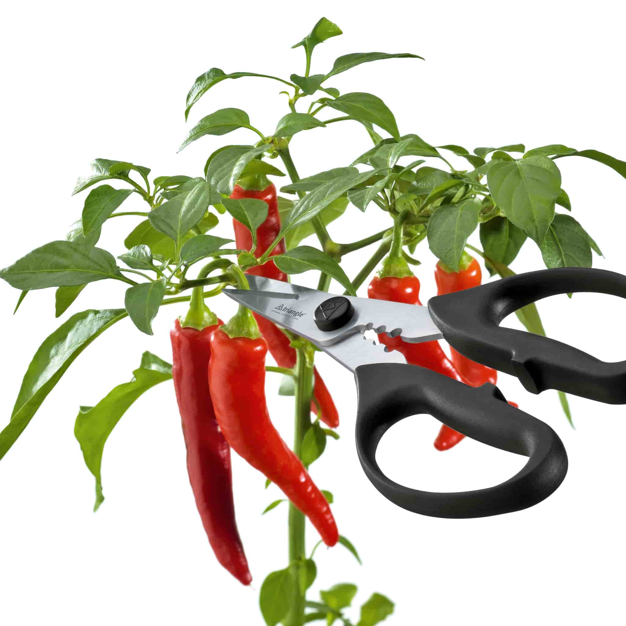 Triangle Take Apart Kitchen & Herb Scissors - Image 3